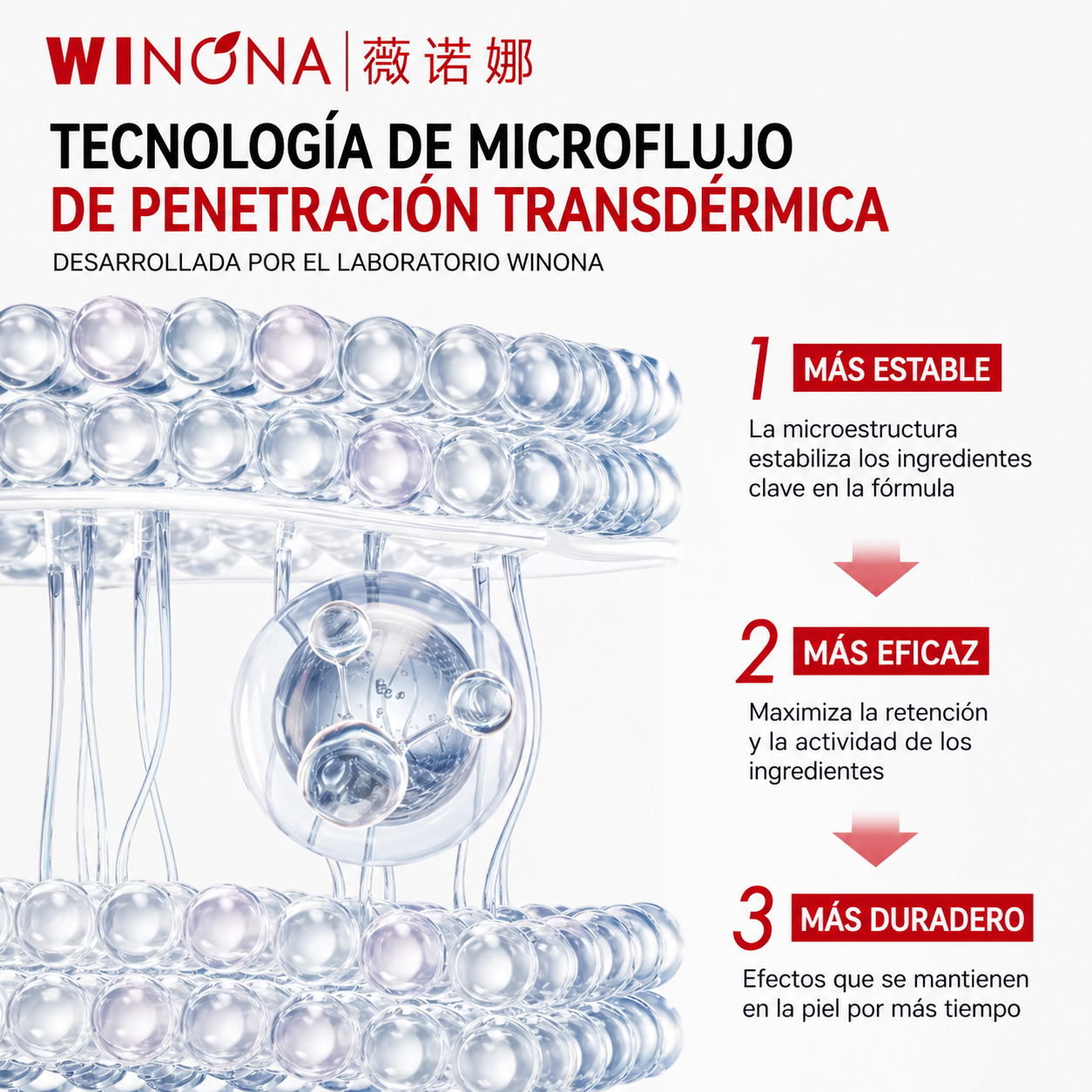 WINONA Set Reparador Antirojeces e Hidratación Profunda (10 productos)