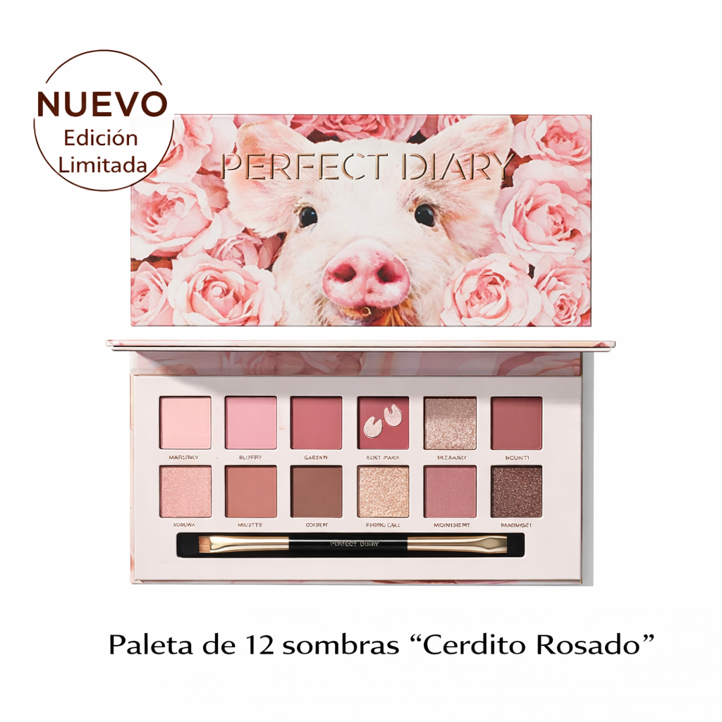 PERFECT DIARY Paleta de Sombras Ojos - Explorer 01 Pig